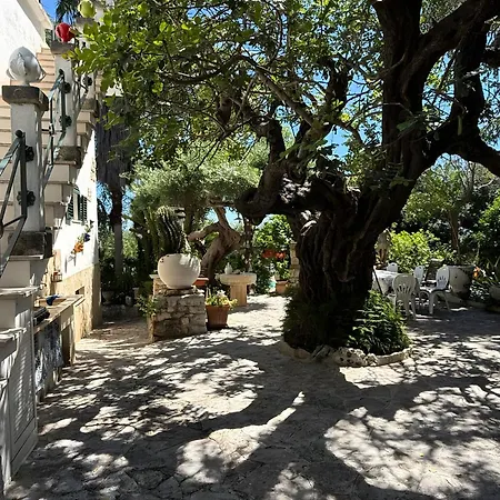 Massa Apartment *